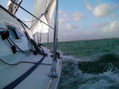 SANY0378.jpg