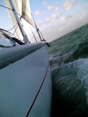 SANY0379.jpg