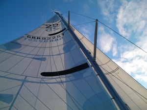 SANY0912.jpg