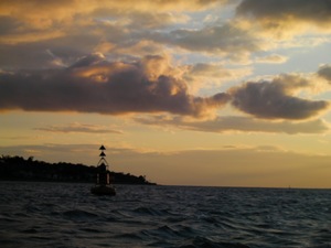 SANY0927.jpg